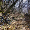 The more difficult singletrack section on the way to Orino is often filled with leaf litter