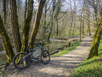 Bike path along the Torrente Roncaglia (creek)