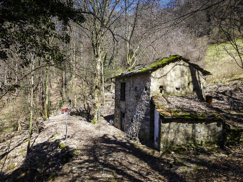 Abandoned villa in the Forestale di Lattecaldo (Forest of Hot Milk)