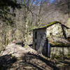 Abandoned villa in the Forestale di Lattecaldo (Forest of Hot Milk)