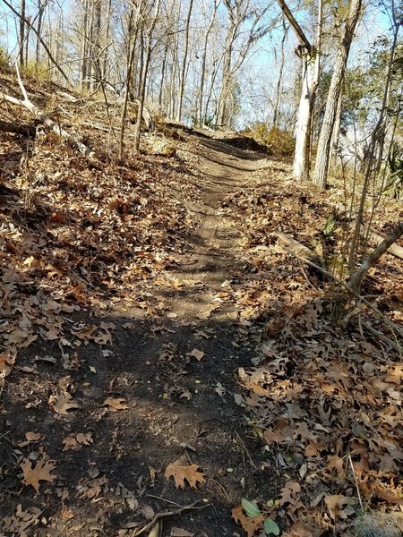 Even though short at 5 miles, there's good up / downhills along the east side creek section.