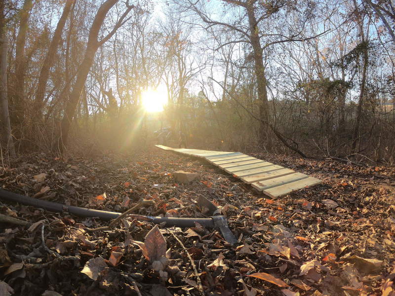 Wooden Skinny on Cross Country Trail.