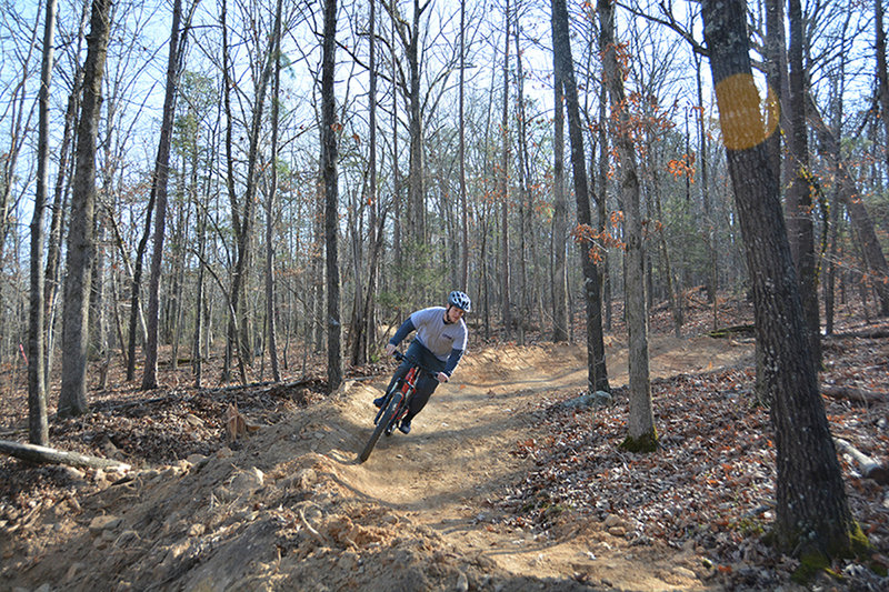 One of 7 new dirt berms on advanced trail.