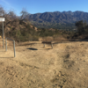 5 points - Looking at entrance to Canyon Trail on right of the bench