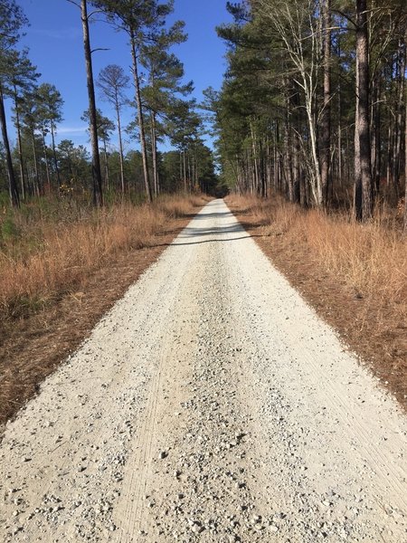 Trail 4 (green) is a gravel connector