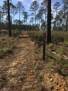 One side of Trail 6 (red) - it was closed at the time of this photo