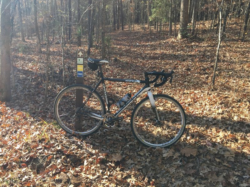 Trail 1 (Blue) is also blazed yellow as it is part of the Enoree Passage of the Palmetto Trail