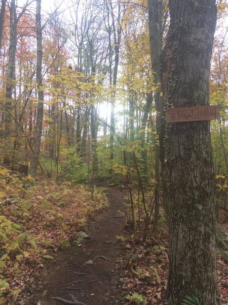 Entrance to Tango Trail