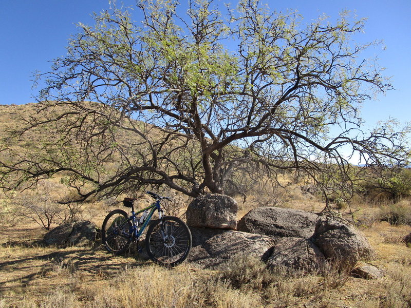 Perfect arrangement of rocks for sitting.