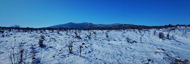 Crest trail looking west.