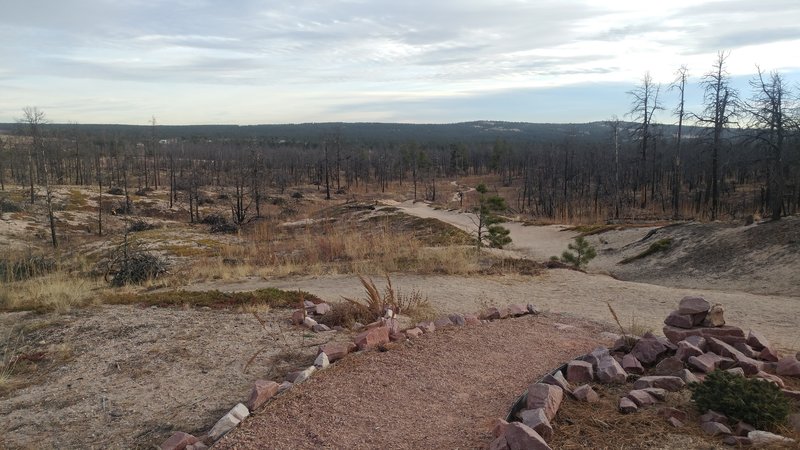 Trails merge here. You'll see a metal bench seat. If looking to ride the big Pikes Peak loop stay right of the bench and head East.