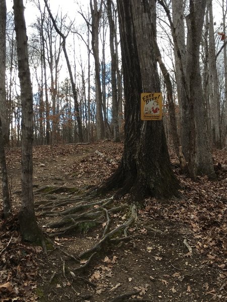 Free Beer (tomorrow), Y'all!  When you make it to the top of this steep, rooty, technical climb, you need some refreshment!