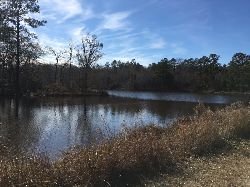 The pond at Selma is open for fishing year around.  But watch out for the alligators that call it home.