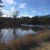 The pond at Selma is open for fishing year around.  But watch out for the alligators that call it home.