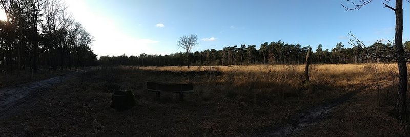 A place to rest. Open area in the forest. Panorama.