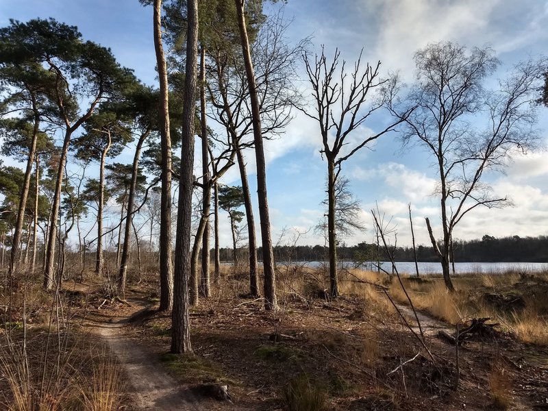 MTB trail around the small lake Hazenputten.