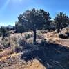 Vista Trail - from Trail 332 looking at Thumb Butte.