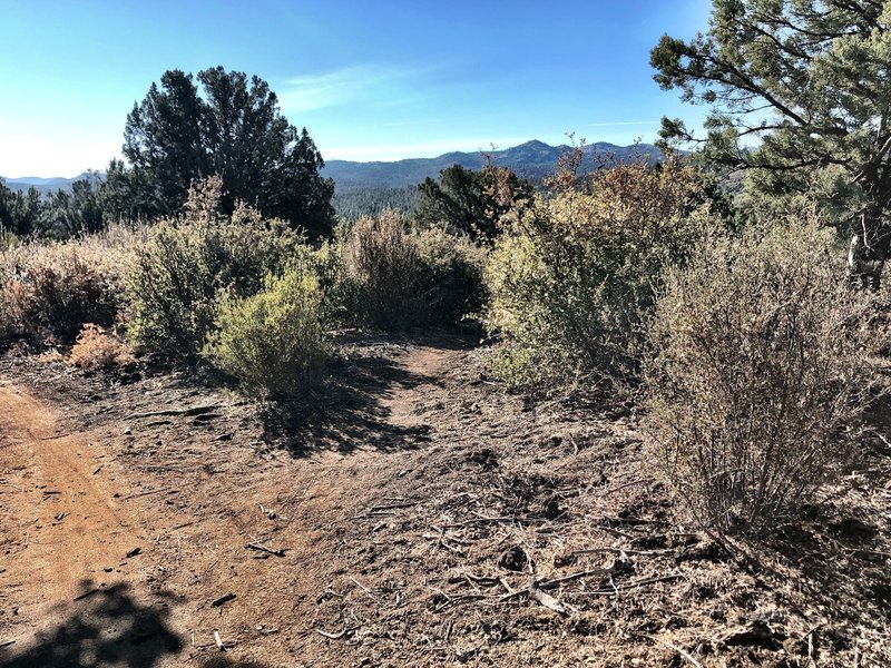 BLM Trail - the top heading south from Vista Trail.