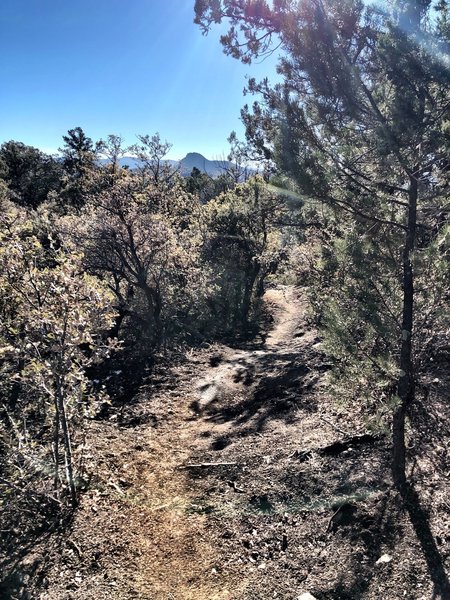 BLM Trail - Thumb Butte in the background.