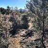 BLM Trail - Thumb Butte in the background.