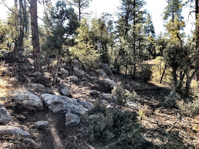 BLM Trail - A few rocks.