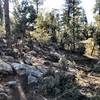 BLM Trail - A few rocks.