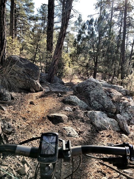 BLM Trail - a few more obstacles.