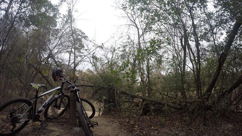 Taking a break at #memorial park H-TOWN