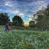 View of Marion, Iowa in the background while local rider enjoys the flow through prairie pollinator habitat.