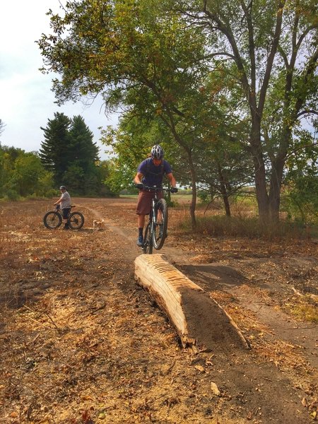 Log skinny right in the middle of what will soon be blossoming prairie pollinator habitat! Smiles per mile :-)