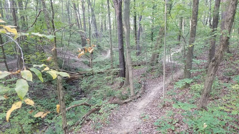 Sweet singletrack.