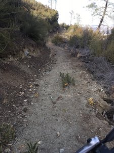 A new trail settling in.