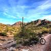 Rainbow Valley Trail.