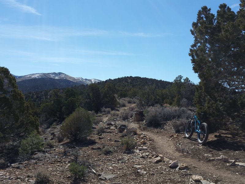 Pinon Trail, Gardnerville, NV.