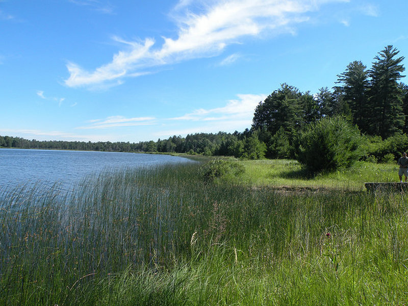 Wakeley Lake.