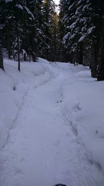 A snow-packed Turk's Trail.