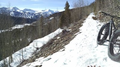 Sun Drenched in January.