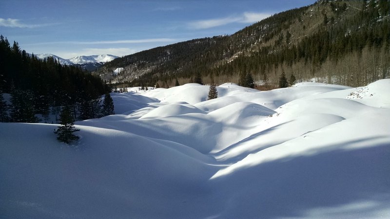 Tailings from Reiling Dredge viewed from the trail in the winter.