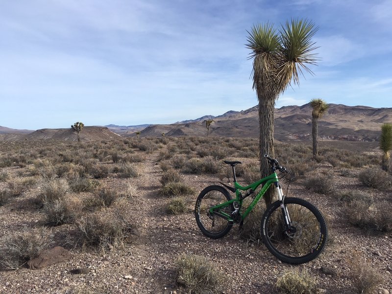 Why did my bike turn green on the Plutonium Ridge trail?