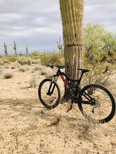 Sonoran Loop