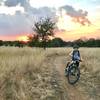 Afternoon ride at Muleshoe Bend...