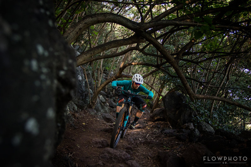 Lower sections offer some cool jungle shade amongst the volcanic rocky gnar, duck!