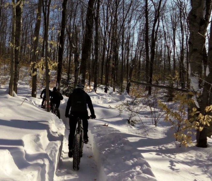 Riders enjoying perfect conditions the day after a snowstorm.
