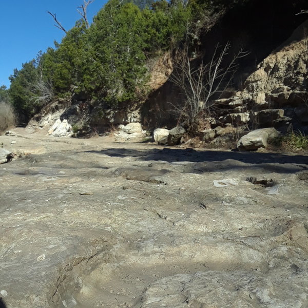 In the forground is an Ammonite fossil some 60-100 million years old embedded in the creek bank that is also part of the Gnar-Wall Trail as the trail drops down out of the woods in the background.