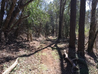 The Fire Cracker Trail is a fast downhill (or painful climb) that leaves out from the trailhead. There are a few jumps along the trail (with more to come soon).