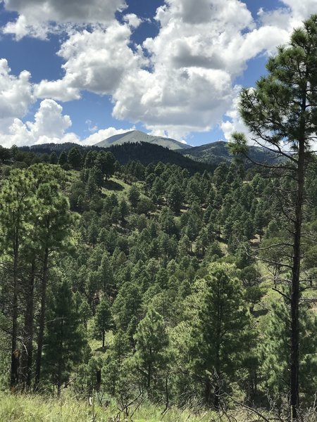 Great views of Sierra Blanca!