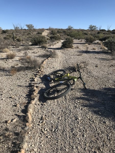 Singletrack in the area