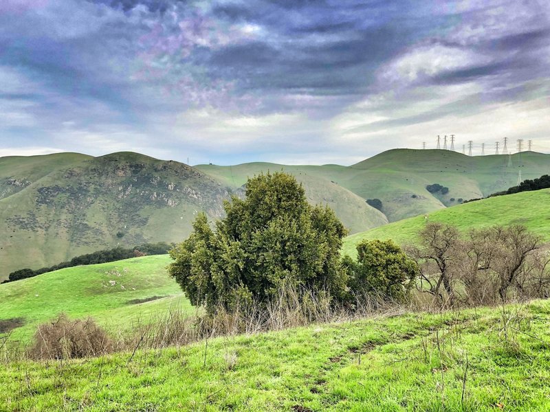 View from Panorama Trail