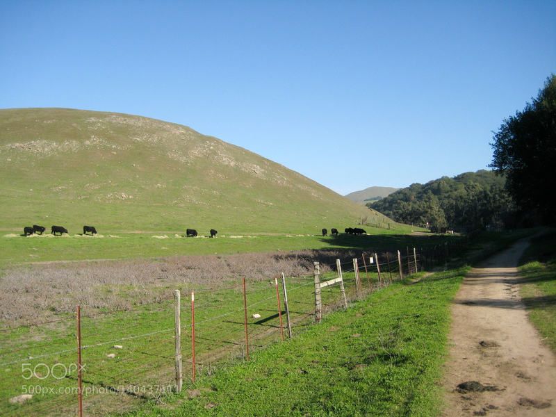 The Peak Trail gets shady.