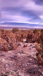 Grand Mesa